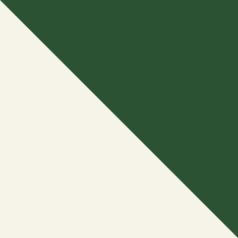 The Family Umbrella: Green and White Panel